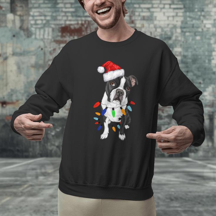 Boston Terrier Santa Christmas Lights Xmas Dog Lover Men Women Kids Men Graphic Sweatshirt, Boston Terrier Christmas Sweatshirts, gift for family, gift for coworker