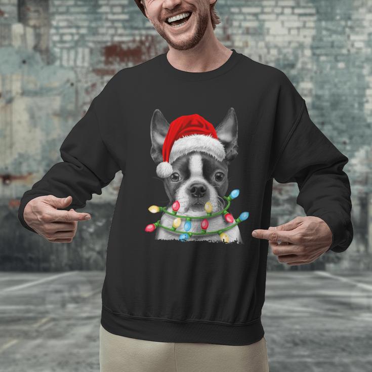 Boston Terrier Santa Christmas Tree Lights Xmas Boys Men Dog Men Graphic Sweatshirt, Boston Terrier Christmas Sweatshirts, gift for family, gift for coworker