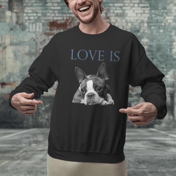 Love Is Boston Terrier Bostie Men Graphic Sweatshirt, gift for family, gift for coworker