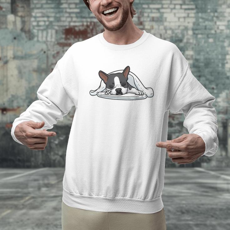 Boston Terrier Dog Official Sleeping Men Women Girls Kids Men Graphic Sweatshirt, gift for family, gift for coworker