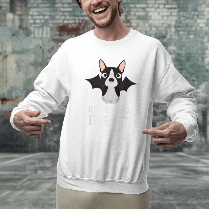 Boston Terrier Halloween Shirt Did Someone Say Treat Men Graphic Sweatshirt, Boston Terrier Halloween Sweatshirts, gift for family, gift for coworker