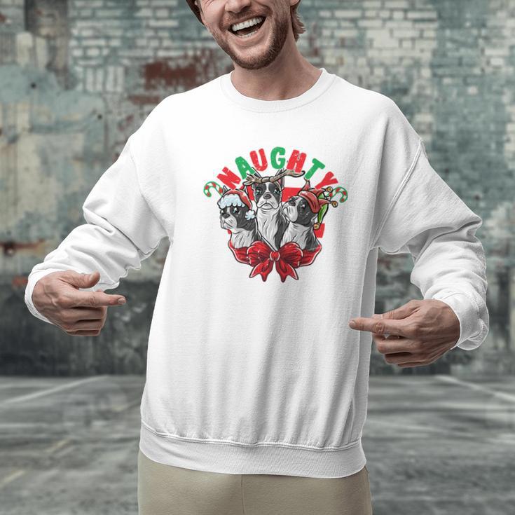 Boston Terrier Santa Claus Elf Reindeer Christmas Dog X-Mas Men Graphic Sweatshirt, Boston Terrier Christmas Sweatshirts, gift for family, gift for coworker