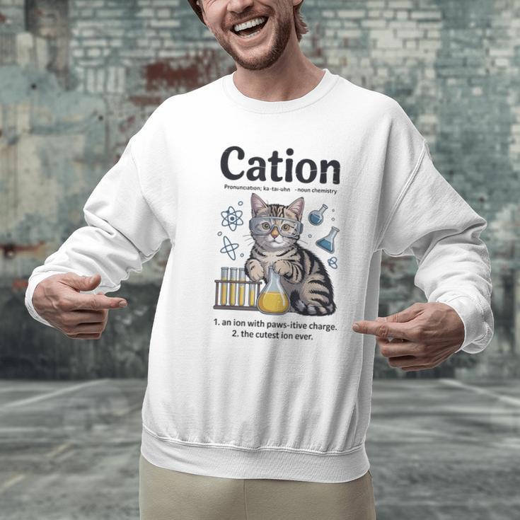 Cation Shirt Cat Science Chemistry Teacher Chemist Pun Men Graphic Sweatshirt, Science Teacher Sweatshirts, gift for family, gift for coworker Cation Shirt Cat Science Chemistry Teacher Chemist Pun Men Graphic Sweatshirt, Science Teacher Sweatshirts, gift for family, gift for coworker