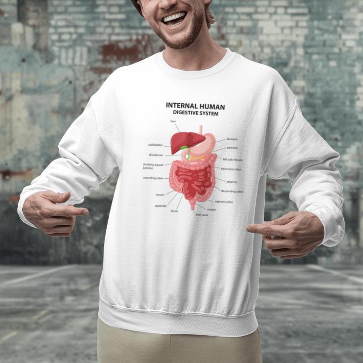Digestive System Anatomy Anatomical Biology Teacher Men Women Men Graphic Sweatshirt, gift for family, gift for coworker Digestive System Anatomy Anatomical Biology Teacher Men Women Men Graphic Sweatshirt, gift for family, gift for coworker