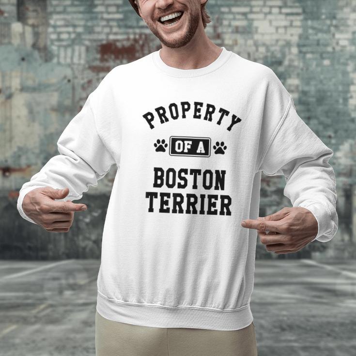 Property Of Boston Terrier Boston Terrier Shirt Men Graphic Sweatshirt, gift for family, gift for coworker