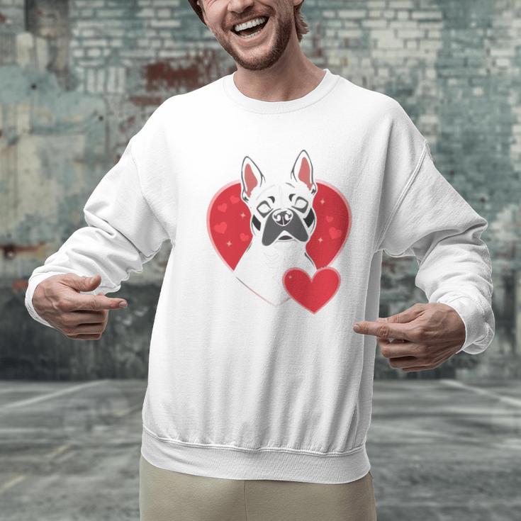 Valentine's Day Boston Terrier Men Graphic Sweatshirt, gift for family, gift for coworker