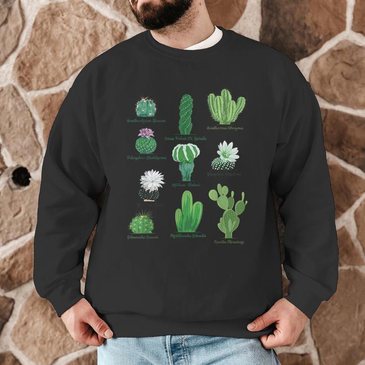 10 Types Of Cactus Succulent Teacher Chart Cactus Lover Tee Men Graphic Sweatshirt, novelty gifts, funny gifts 10 Types Of Cactus Succulent Teacher Chart Cactus Lover Tee Men Graphic Sweatshirt, novelty gifts, funny gifts
