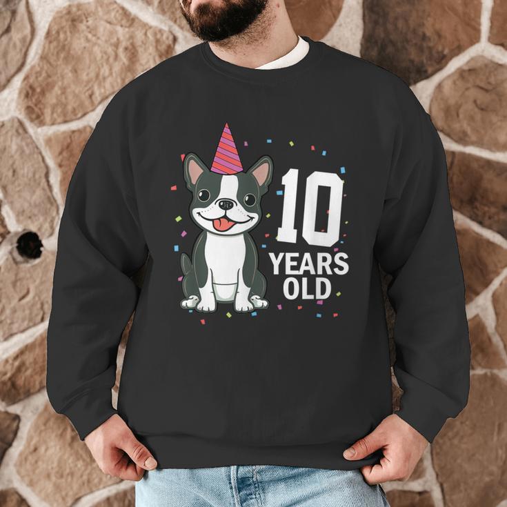 10 Years Old Birthday Boston Terrier Dog Lover 10th Party For Men Women Kids Men Graphic Sweatshirt, novelty gifts, funny gifts