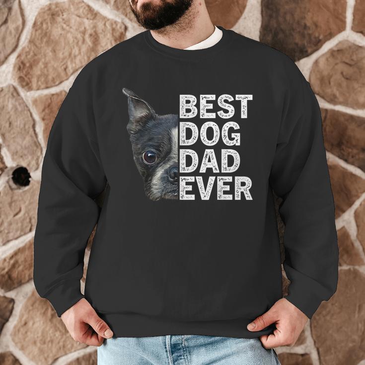 Best Dog Dad Ever Boston Terrier Dog Lover For Dad Men Women Girls Kids Men Graphic Sweatshirt, novelty gifts, funny gifts