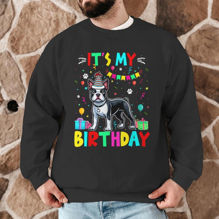 My Birthday Colorful Costume Boston Terrier Party Men Graphic Sweatshirt, novelty gifts, funny gifts