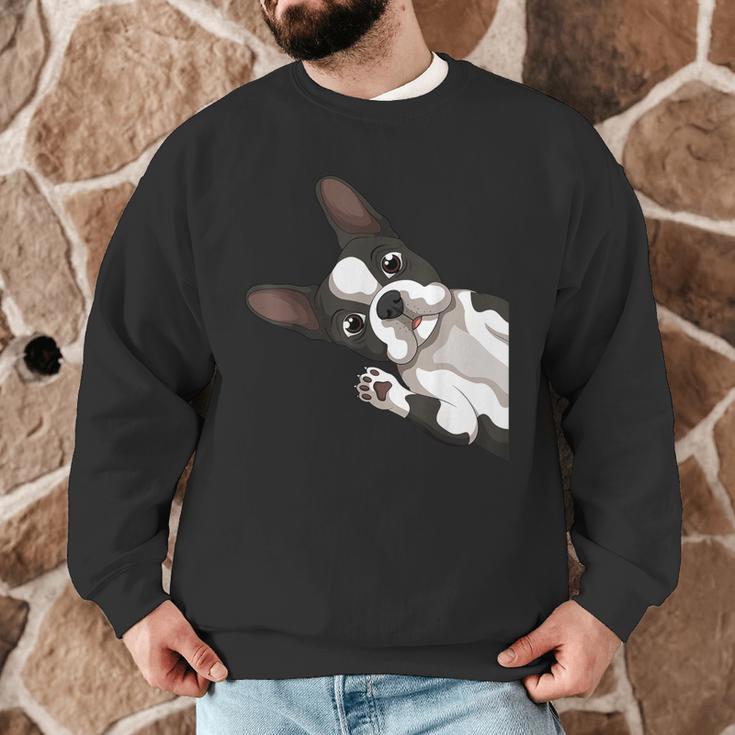 Boston Terrier Bostie Dog Kids Boys Girls Men Graphic Sweatshirt, novelty gifts, funny gifts