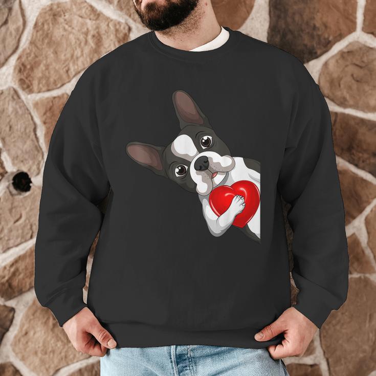Boston Terrier Bostie Dog Kids Women Girls Men Graphic Sweatshirt, novelty gifts, funny gifts