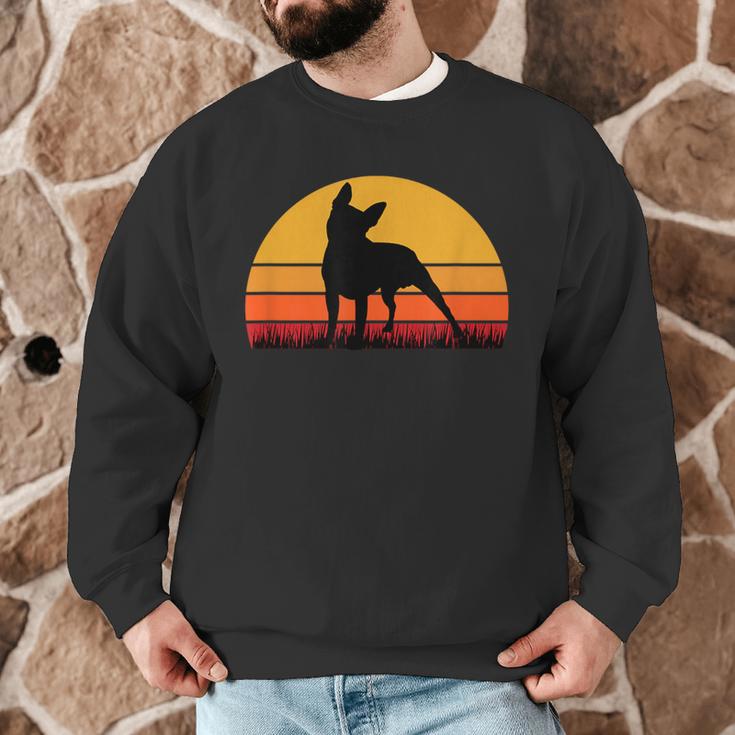 Boston Terrier Bostie Sunset Retro Dog Pet Mom Dad Men Graphic Sweatshirt, novelty gifts, funny gifts