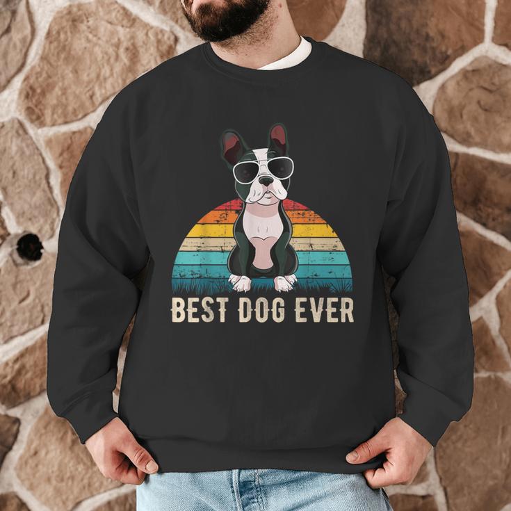 Boston Terrier Boston-Bulldog For Men Women Girls Kids Men Graphic Sweatshirt, novelty gifts, funny gifts