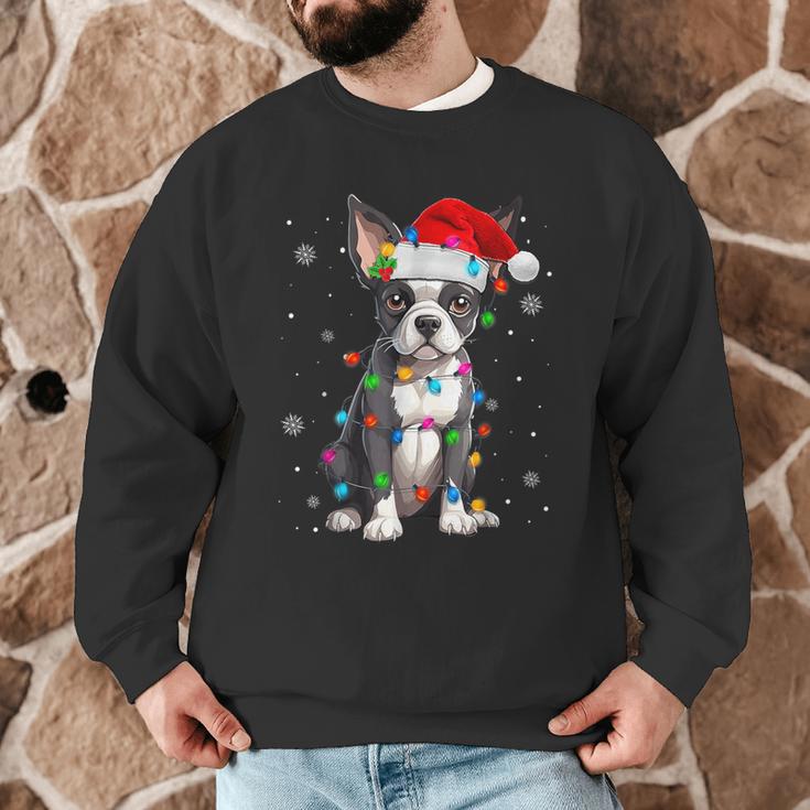 Boston Terrier Christmas Santa Hat Tree Lights Pajama Men Graphic Sweatshirt, novelty gifts, funny gifts