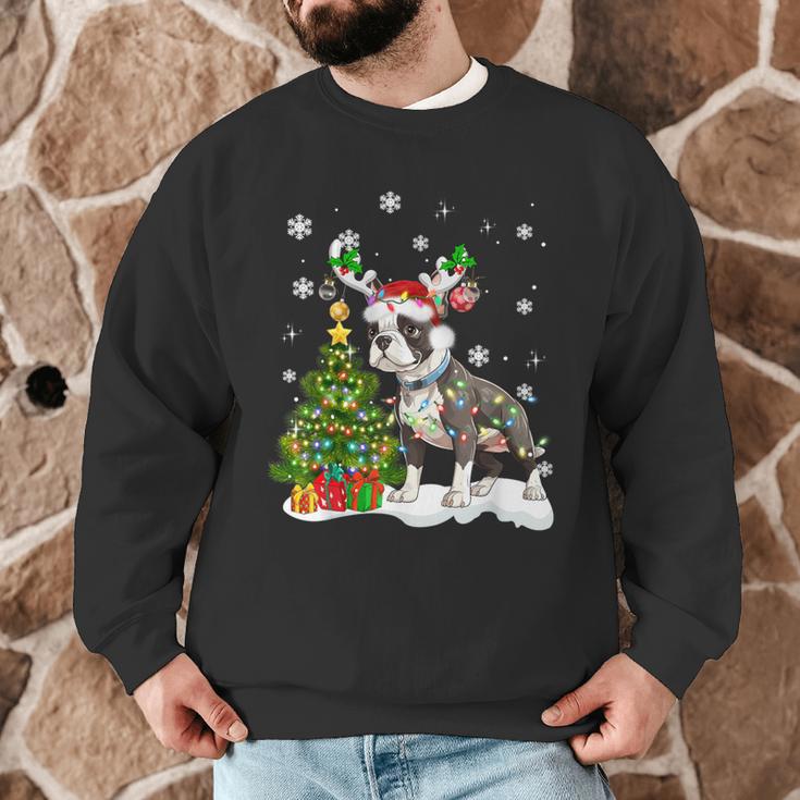 Boston Terrier Christmas Tree Lights Santa Hat Men Graphic Sweatshirt, novelty gifts, funny gifts