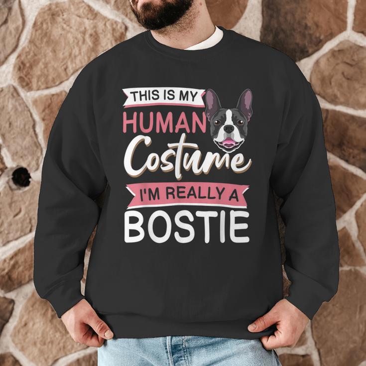 Boston Terrier Dog Bostie Halloween Costume Dog For Kids Men Graphic Sweatshirt, novelty gifts, funny gifts