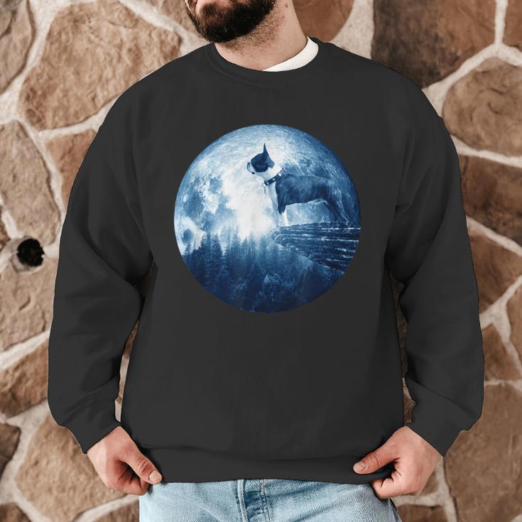 Boston Terrier Dog Moon Dog Mom Dad Women Men Dog Lovers Men Graphic Sweatshirt, novelty gifts, funny gifts