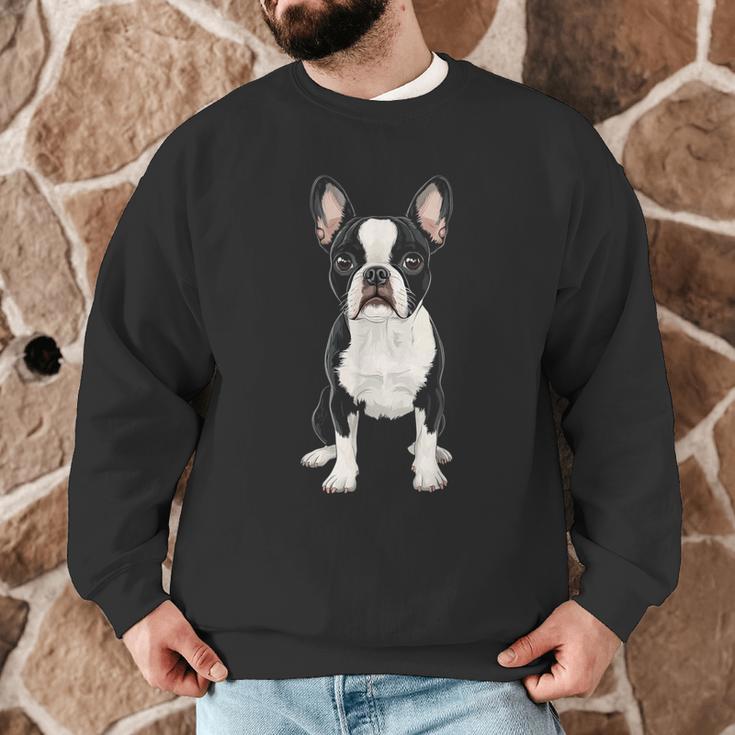 Boston Terrier Dog Motif Pet Art Boston Terrier For Men Women Kids Men Graphic Sweatshirt, novelty gifts, funny gifts