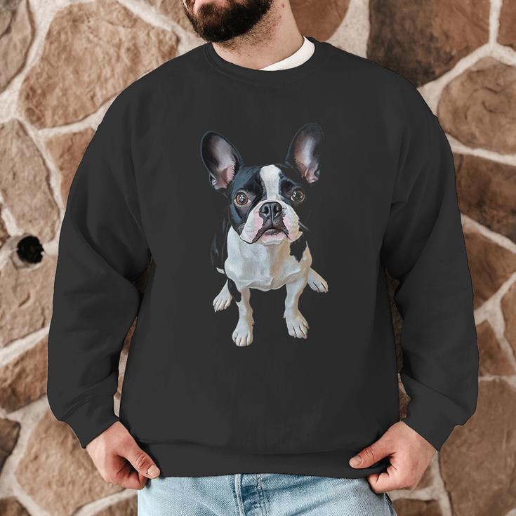 Boston Terrier Dog Motif Pet Art Boston Terrier Men Women Kids Men Graphic Sweatshirt, novelty gifts, funny gifts