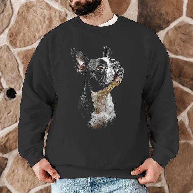 Boston Terrier Dog Graphic Pet Art Boston Terrier For Men Women Kids Men Graphic Sweatshirt, novelty gifts, funny gifts