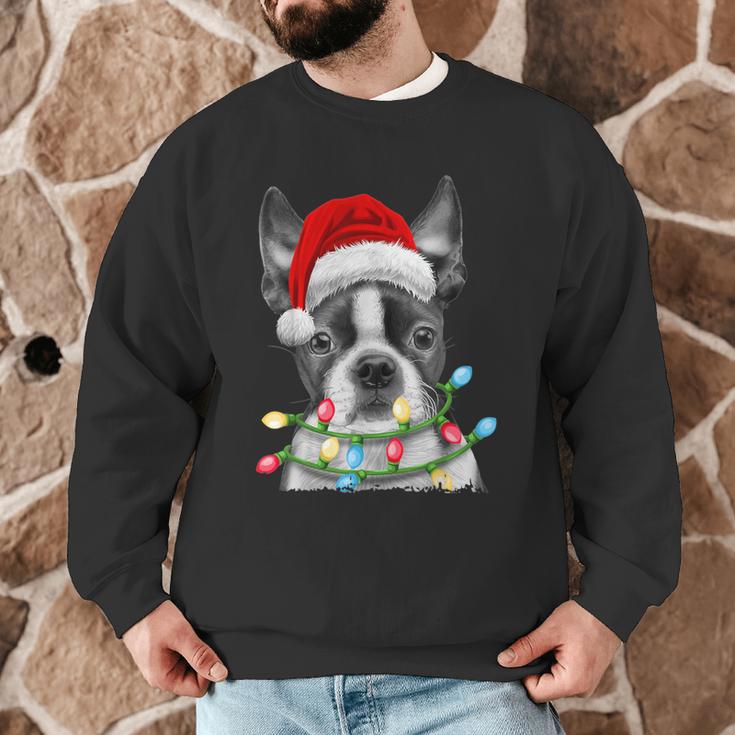 Boston Terrier Dog Santa Christmas Tree Lights Xmas Men Graphic Sweatshirt, novelty gifts, funny gifts