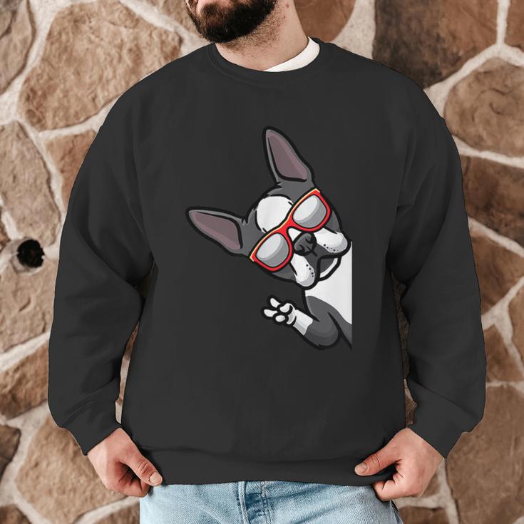 Boston Terrier Dog From Side Boston Bull Men Graphic Sweatshirt, novelty gifts, funny gifts