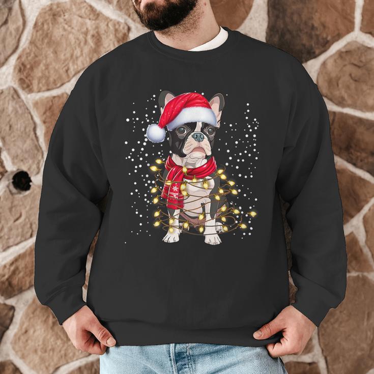 Boston Terrier Dog Ugly Christmas Dog Xmas For Men Women Kids Men Graphic Sweatshirt, novelty gifts, funny gifts
