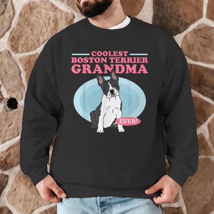 Boston Terrier Grandma Bostie Dog Owner Boston Terrier Men Women Men Graphic Sweatshirt, novelty gifts, funny gifts