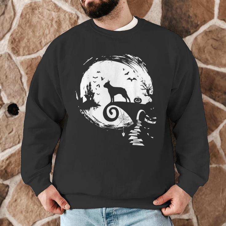 Boston Terrier And Moon Halloween Costume Dog Lover Men Graphic Sweatshirt, novelty gifts, funny gifts