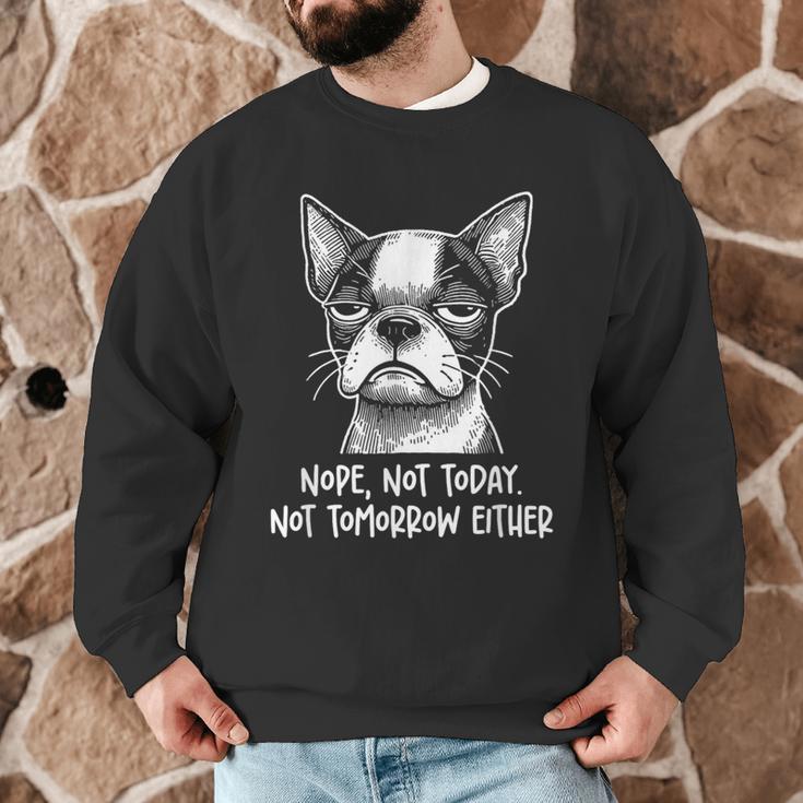 Boston Terrier Nope Not Today Not Tomorrow Either Sarcastic Men Graphic Sweatshirt, novelty gifts, funny gifts