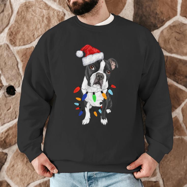 Boston Terrier Santa Christmas Lights Xmas Dog Lover Men Women Kids Men Graphic Sweatshirt, novelty gifts, funny gifts