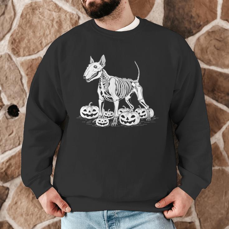 Bull Terrier Skeleton Birthday Halloween Kids Men Graphic Sweatshirt, novelty gifts, funny gifts