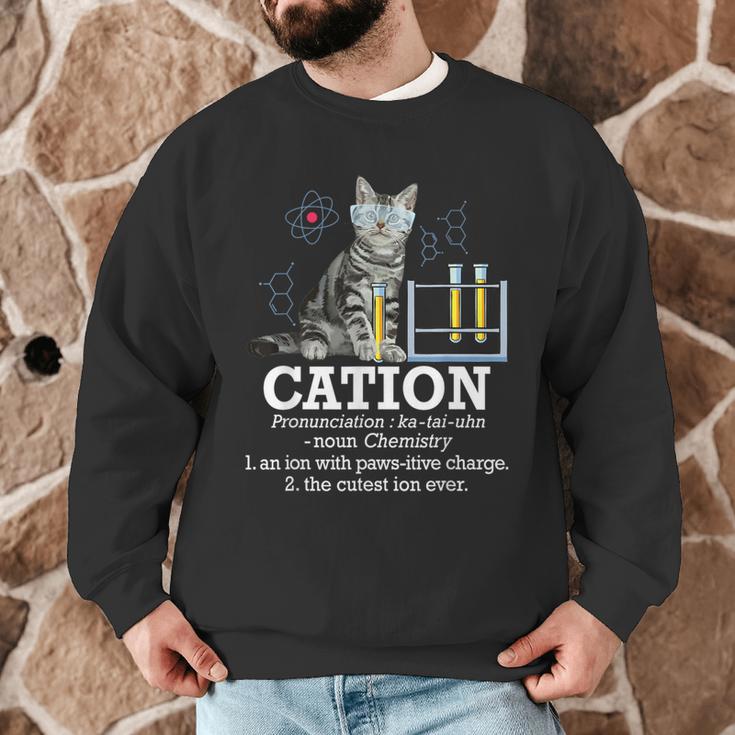Cation Chemistry Humor Science Teacher Cat Pun Men Graphic Sweatshirt, novelty gifts, funny gifts Cation Chemistry Humor Science Teacher Cat Pun Men Graphic Sweatshirt, novelty gifts, funny gifts