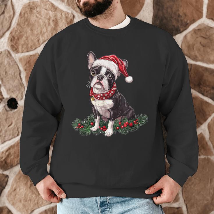 Cute Boston Terrier Dog Christmas Merry X-Mas Graphic Men Graphic Sweatshirt, novelty gifts, funny gifts
