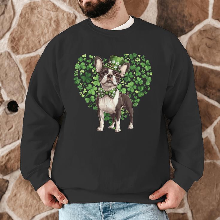 Cute Boston Terrier Shamrock St Patrick's Day Dog Lover Men Women Kids Men Graphic Sweatshirt, novelty gifts, funny gifts