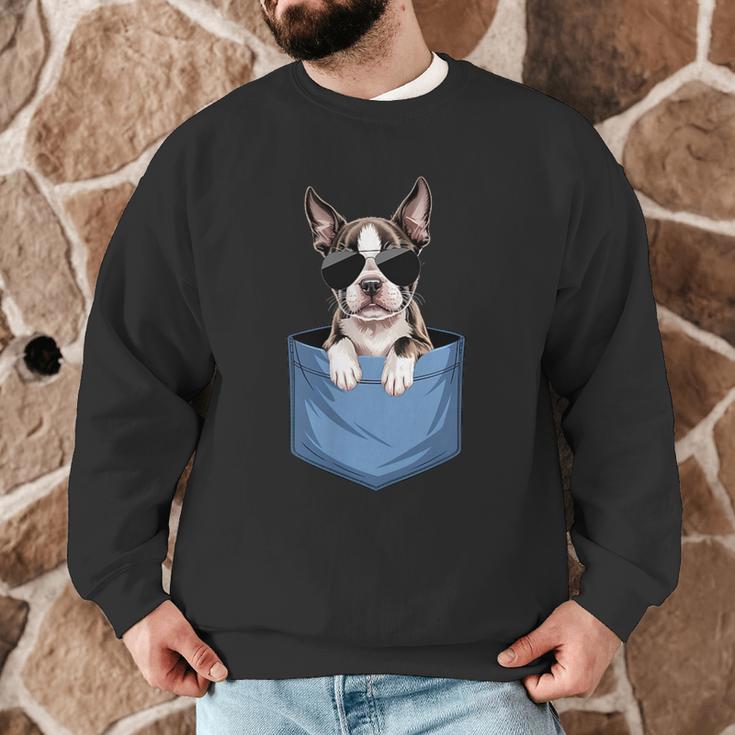 Cute Pocket Boston Terrier Lover Dog Mom Men Graphic Sweatshirt, novelty gifts, funny gifts