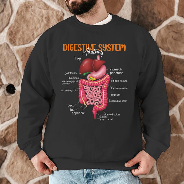Digestive System Anatomy Anatomical Biology Teacher Men Graphic Sweatshirt, novelty gifts, funny gifts Digestive System Anatomy Anatomical Biology Teacher Men Graphic Sweatshirt, novelty gifts, funny gifts