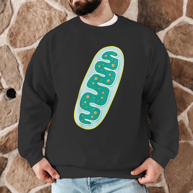 DIY Mitochondria Costume Biology Teacher Halloween Men Graphic Sweatshirt, novelty gifts, funny gifts