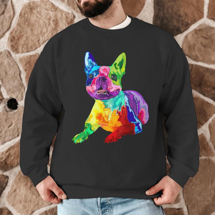 Dog Lover Boston Terrier Dog Colorful Boston Terrier Men Women Kids Men Graphic Sweatshirt, novelty gifts, funny gifts