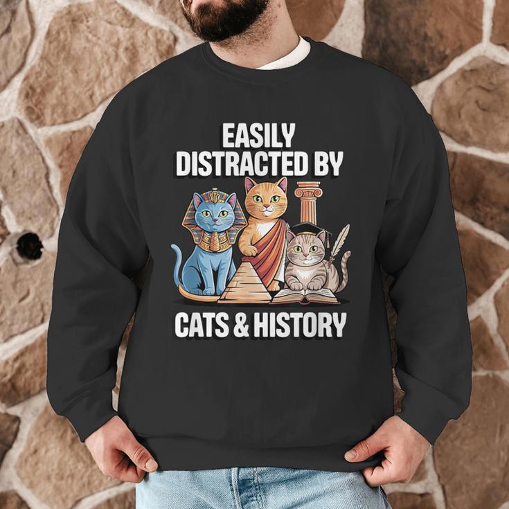 Easily Distracted By Cats & History Teacher Women Men Men Graphic Sweatshirt, novelty gifts, funny gifts