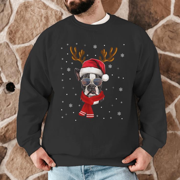 Family Matching Reindeer Xmas Boston Terrier Christmas Men Graphic Sweatshirt, novelty gifts, funny gifts