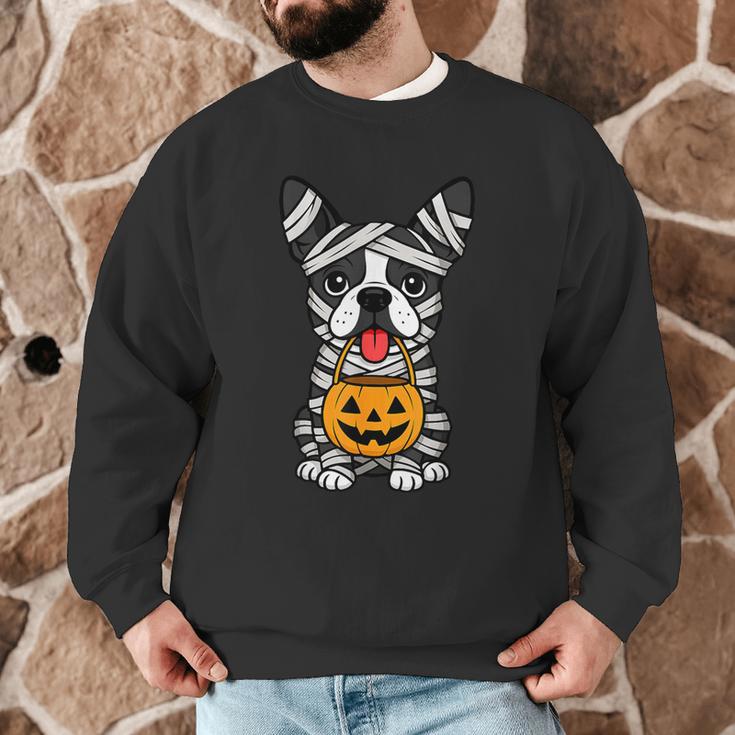 Halloween Dog Boston Terrier Mummy Costume Men Women Kids Men Graphic Sweatshirt, novelty gifts, funny gifts