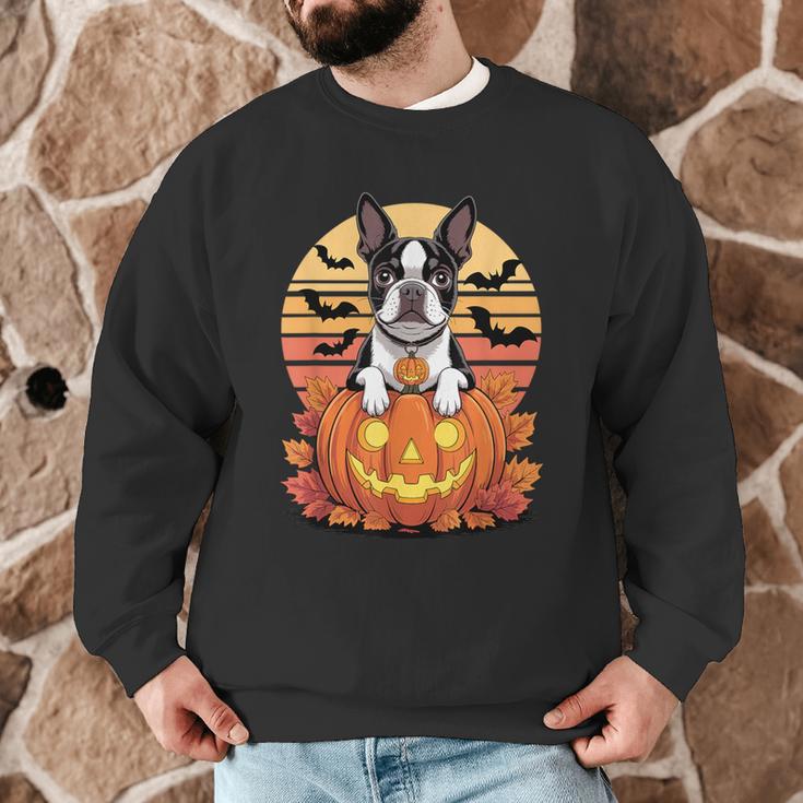 Halloween Retro Boston Terrier Men Graphic Sweatshirt, novelty gifts, funny gifts