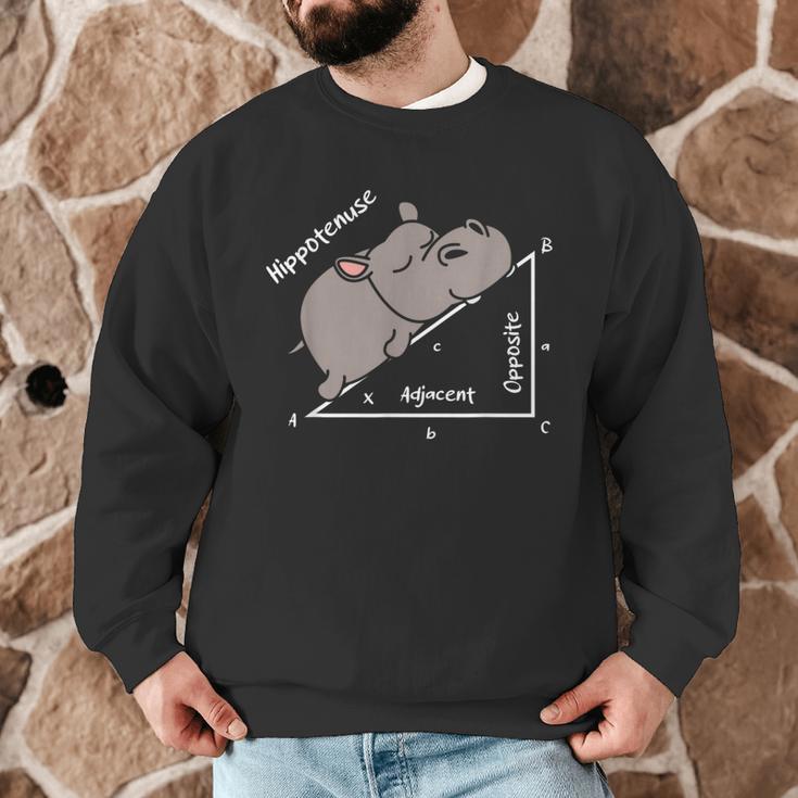 Hippotenuse Hippo Angle Function Hypotenuse Math Teacher Men Graphic Sweatshirt, novelty gifts, funny gifts Hippotenuse Hippo Angle Function Hypotenuse Math Teacher Men Graphic Sweatshirt, novelty gifts, funny gifts