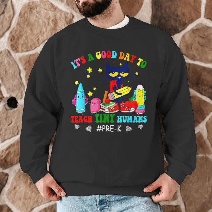 It's A Good-Day To Teach Tiny Humans Pre-K Cat Teacher Lover Men Graphic Sweatshirt, novelty gifts, funny gifts
