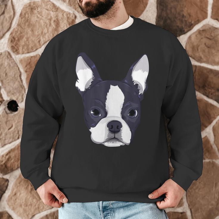 Kids Boston Terrier Dog For Women And Girls Men Graphic Sweatshirt, novelty gifts, funny gifts