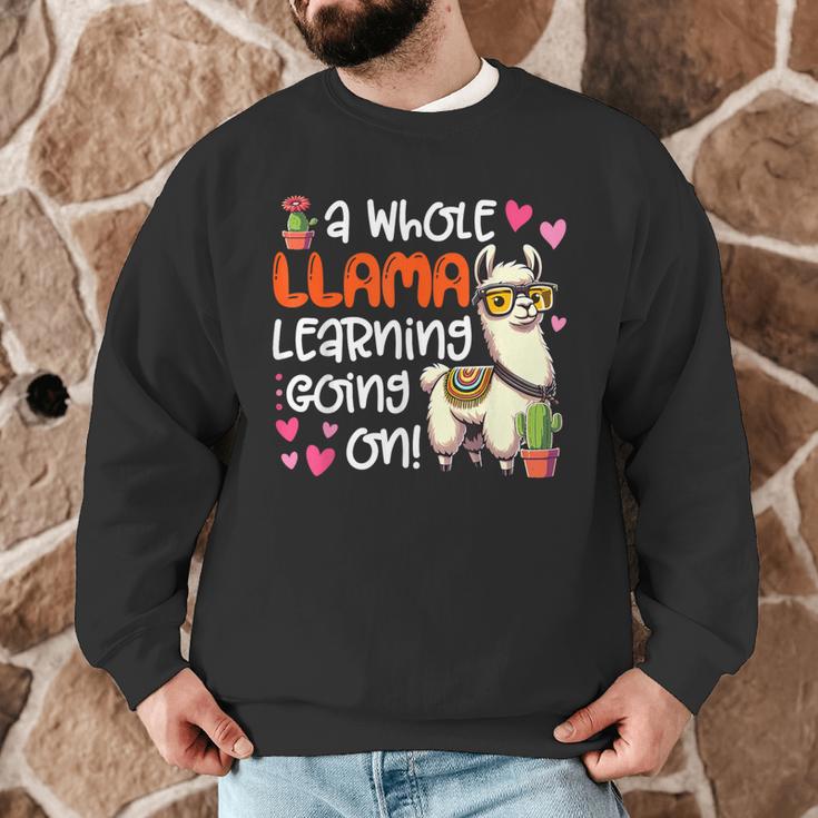Llama Learning Teachers Students Alpaca Lover Back To School Men Graphic Sweatshirt, novelty gifts, funny gifts Llama Learning Teachers Students Alpaca Lover Back To School Men Graphic Sweatshirt, novelty gifts, funny gifts