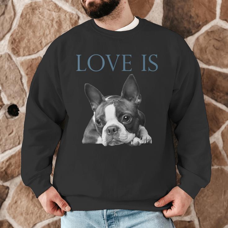 Love Is Boston Terrier Bostie Men Graphic Sweatshirt, novelty gifts, funny gifts