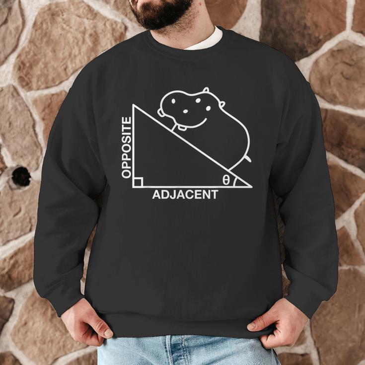 Nerdy Hippotenuse Hypotenuse Hippopotamus Math Teacher Men Graphic Sweatshirt, novelty gifts, funny gifts Nerdy Hippotenuse Hypotenuse Hippopotamus Math Teacher Men Graphic Sweatshirt, novelty gifts, funny gifts